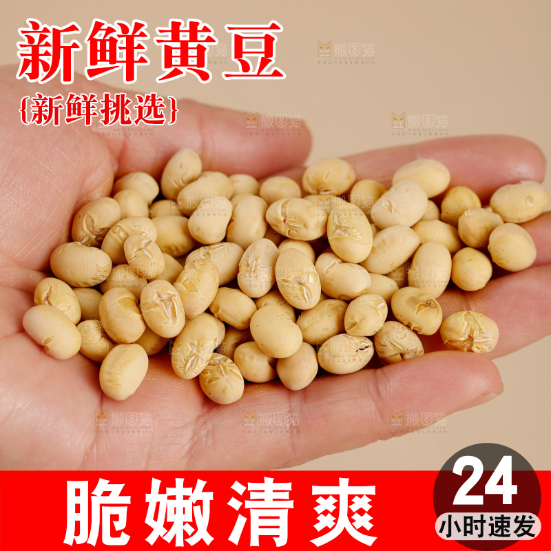 黄豆
