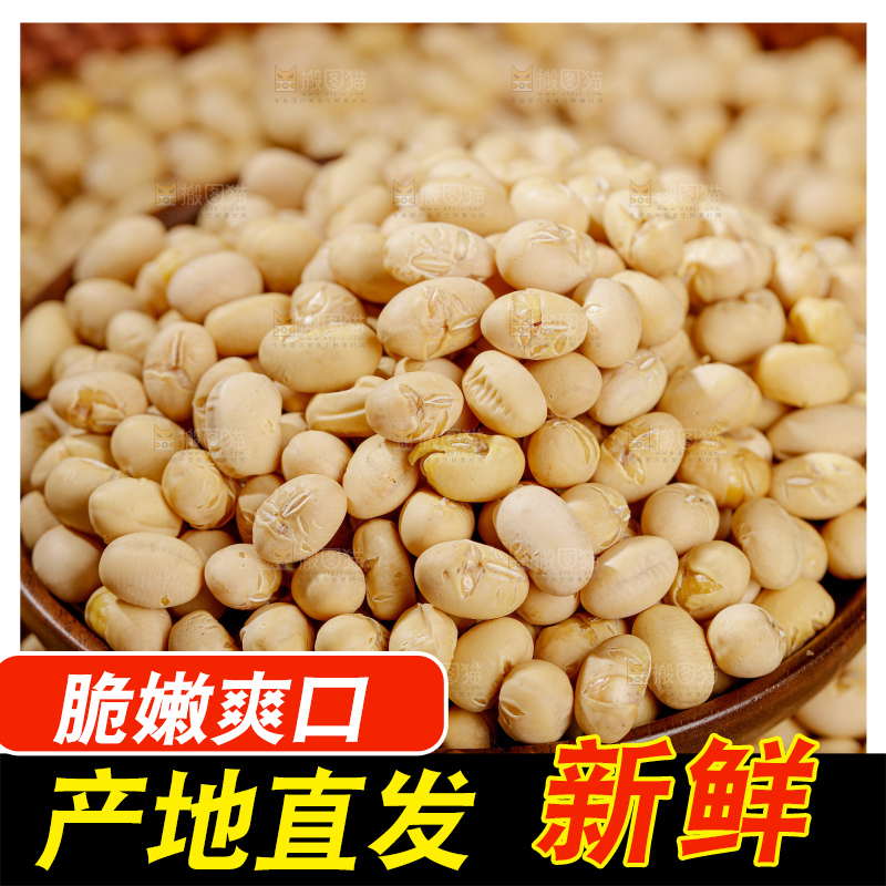 黄豆