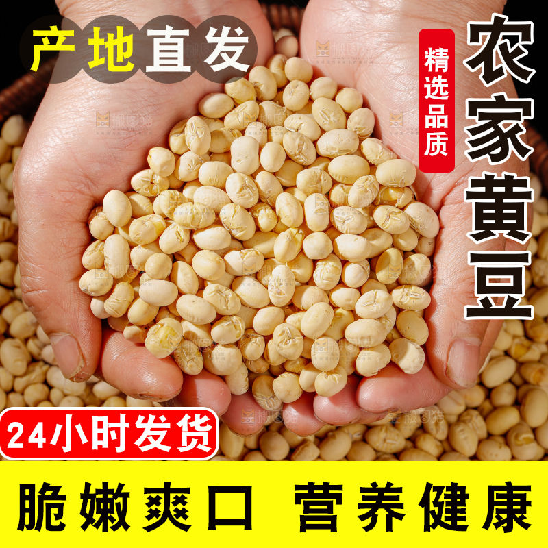 黄豆