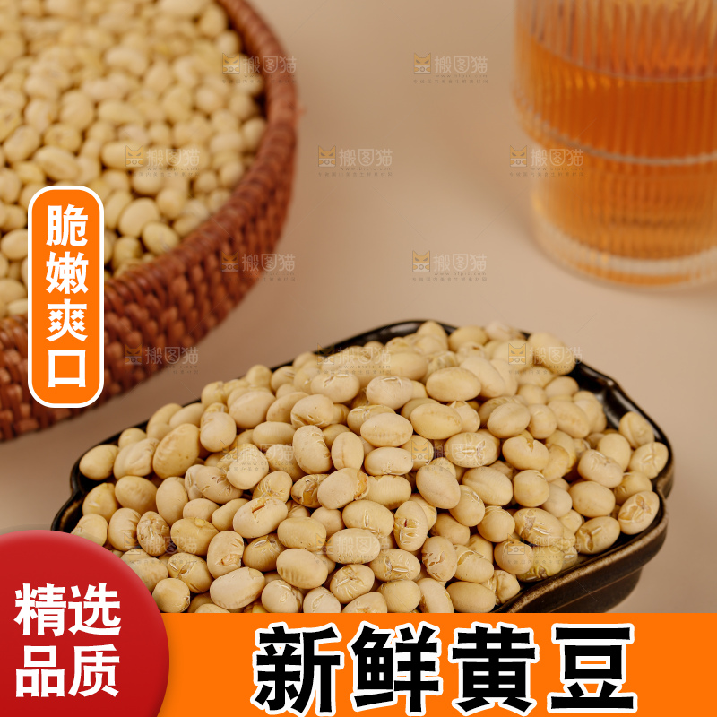 黄豆
