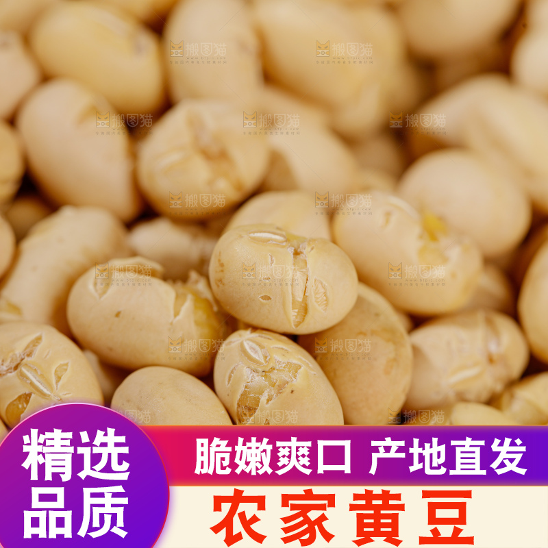 黄豆