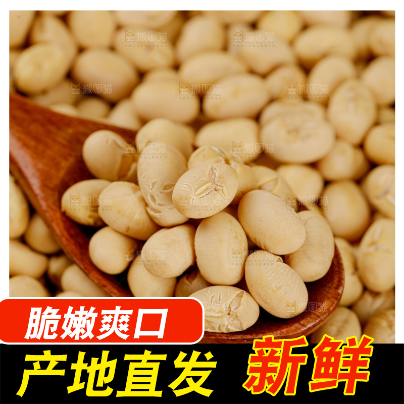 黄豆