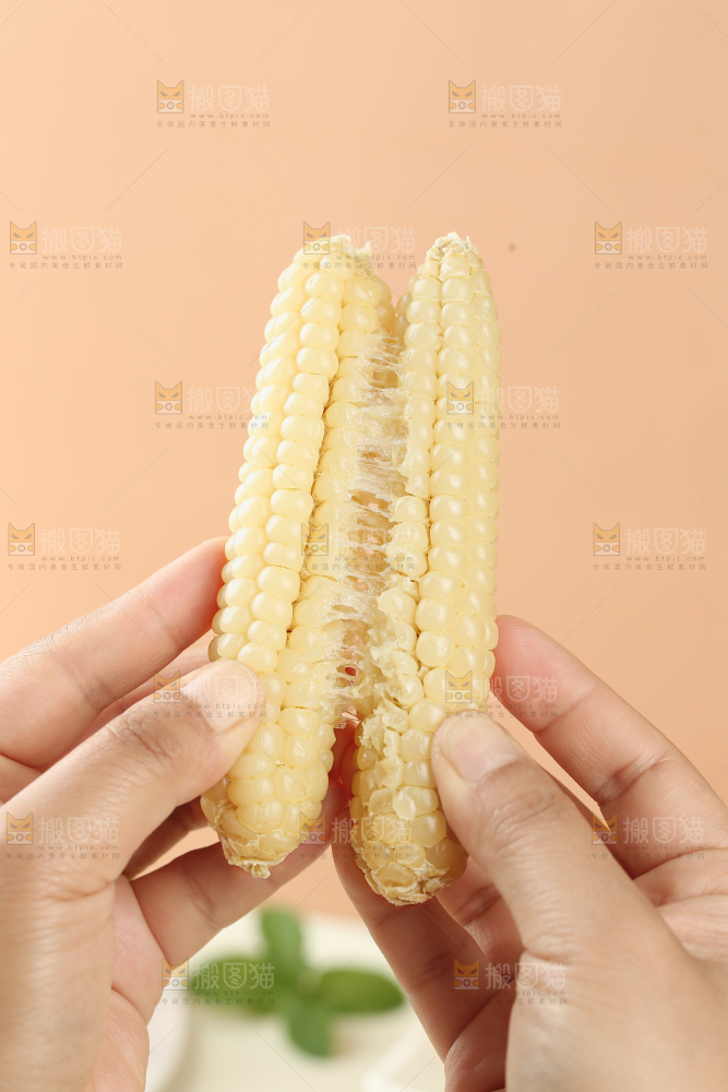 拇指玉米