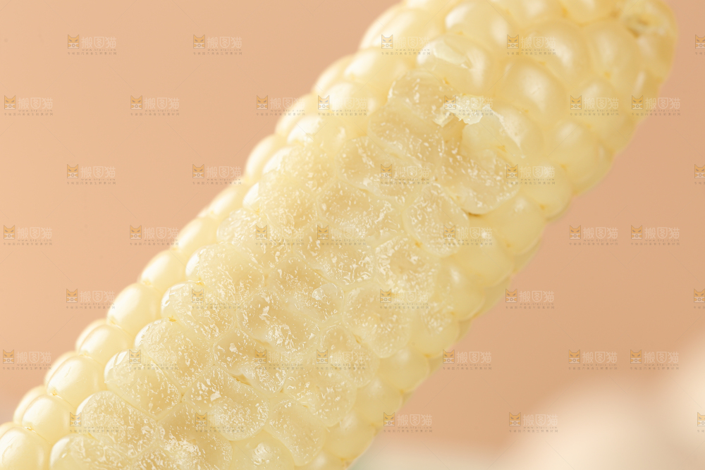拇指玉米