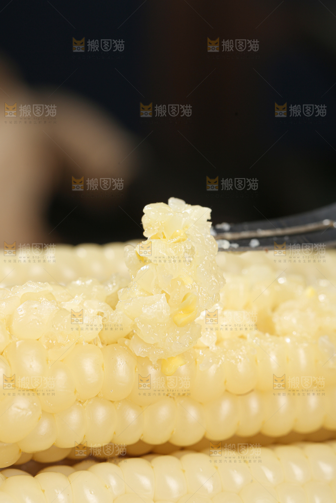拇指玉米