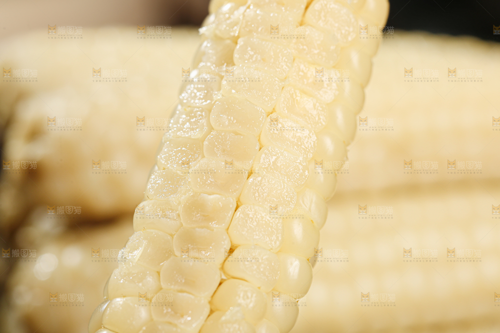 拇指玉米