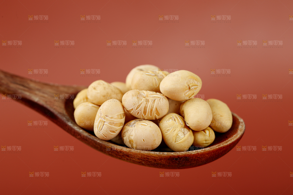 黄豆