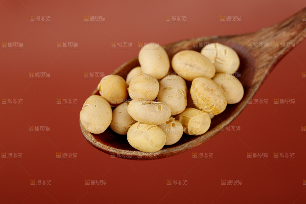 黄豆