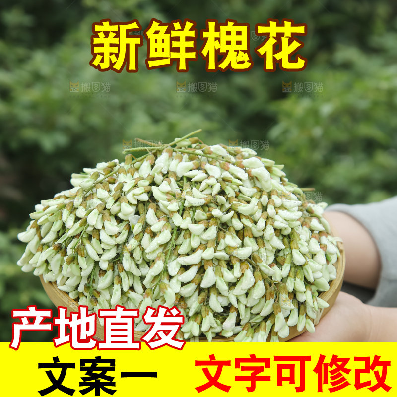 槐花