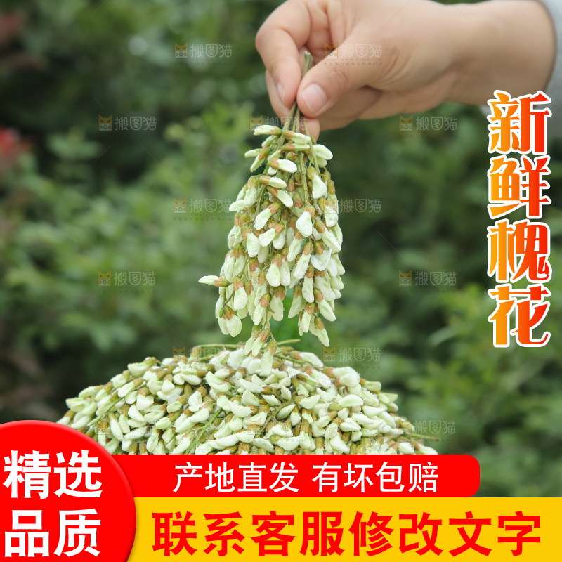 槐花