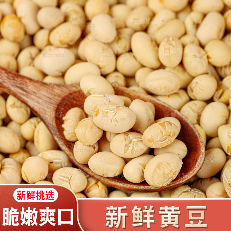 黄豆
