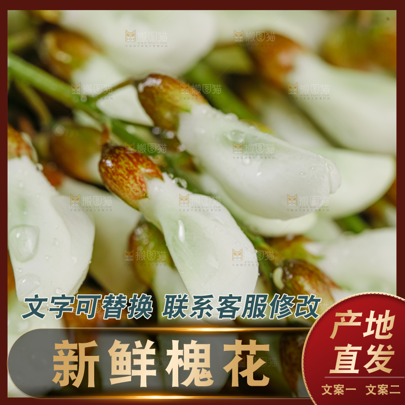 槐花