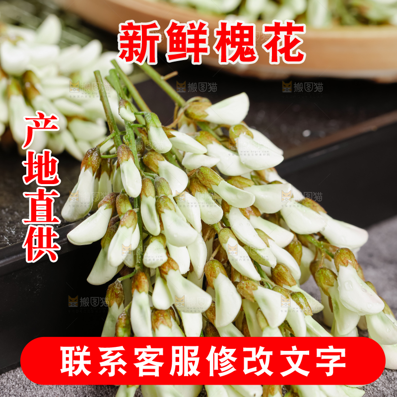 槐花
