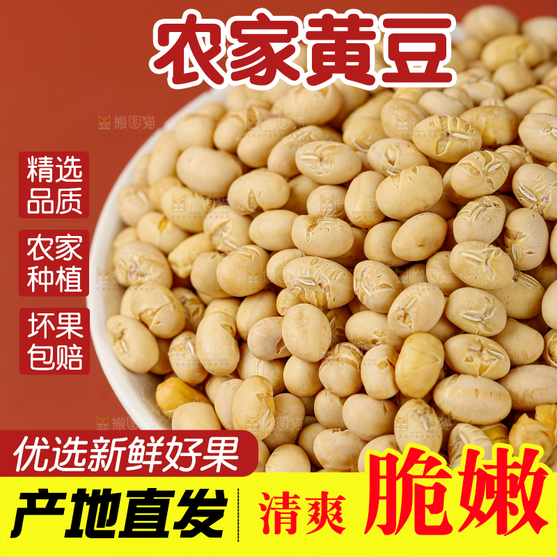 黄豆