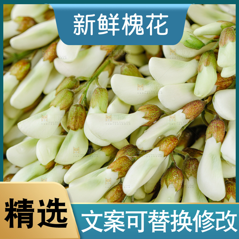 槐花
