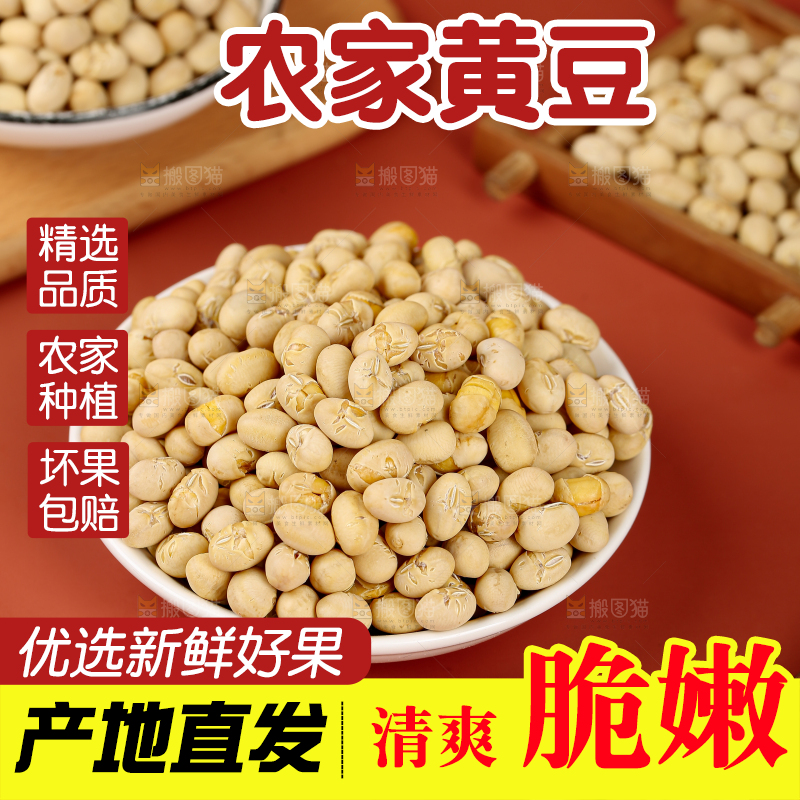 黄豆
