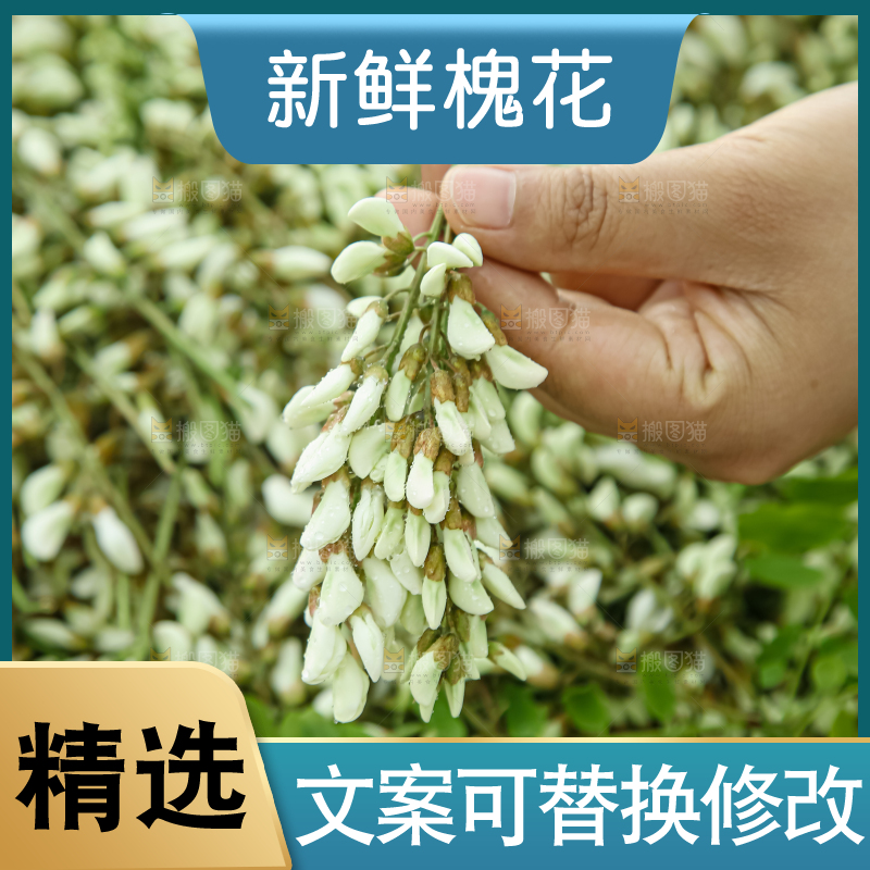 槐花