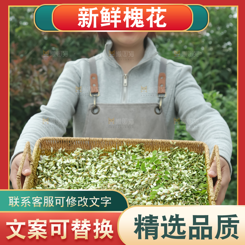 槐花