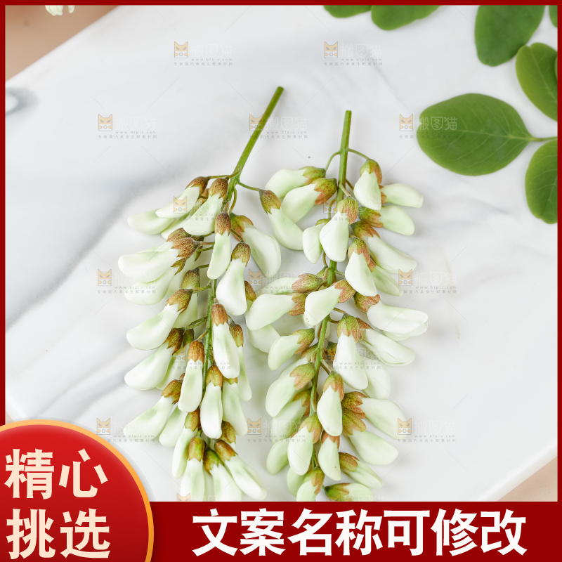 槐花