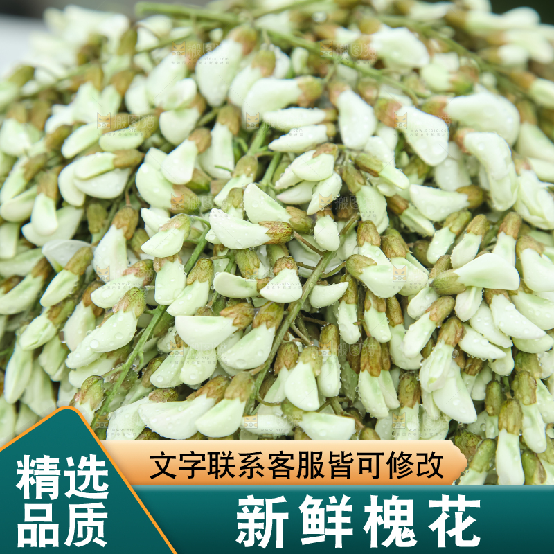槐花