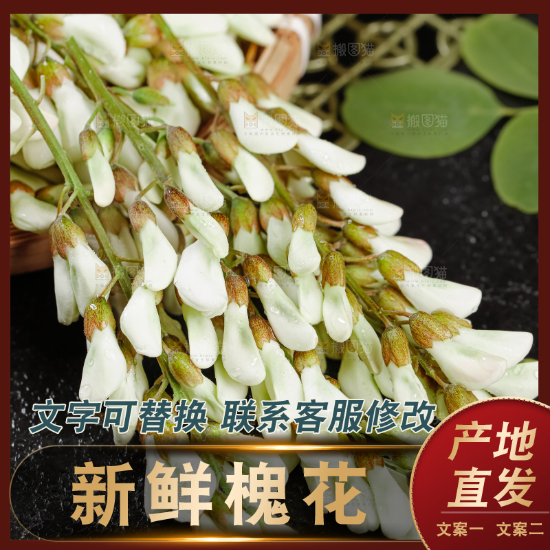 槐花