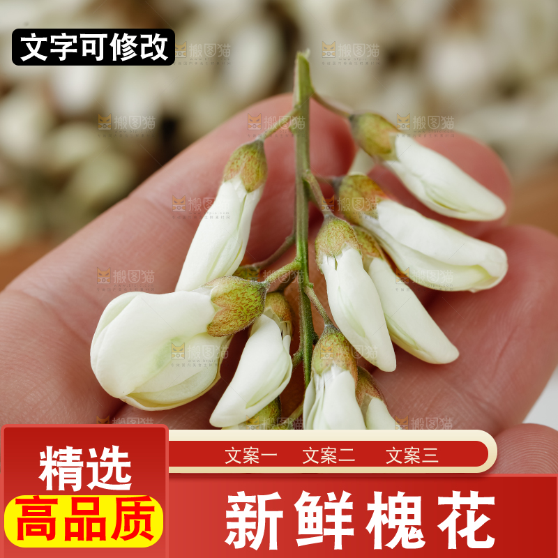 槐花