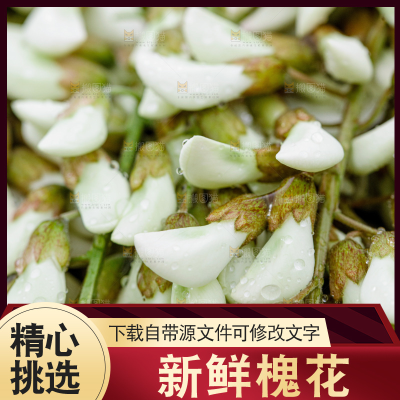槐花