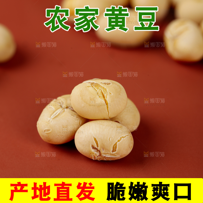 黄豆