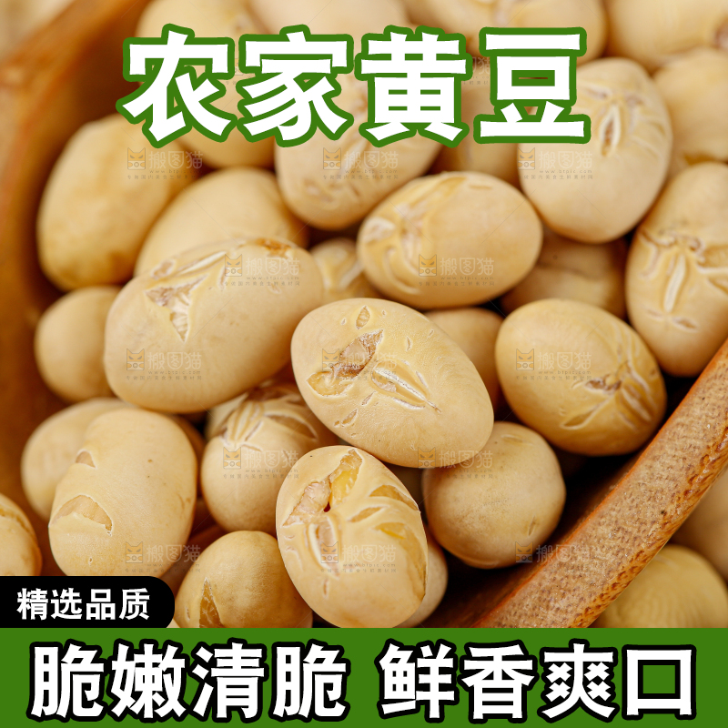 黄豆