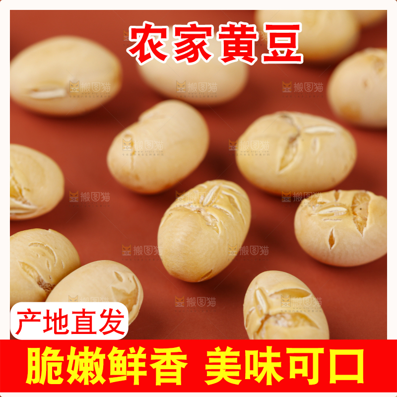 黄豆