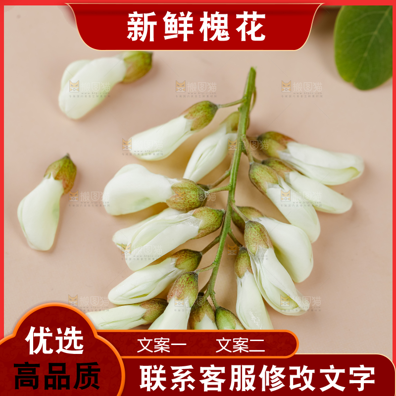 槐花