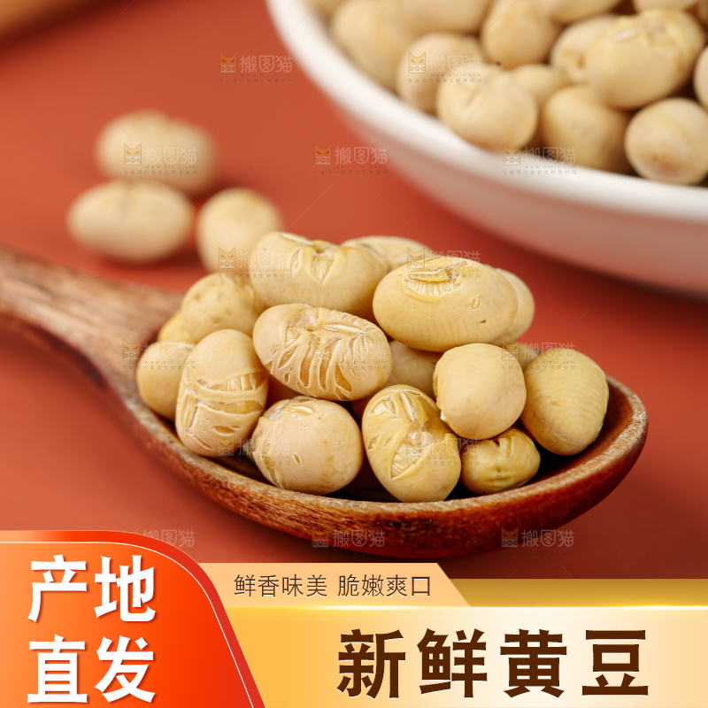 黄豆