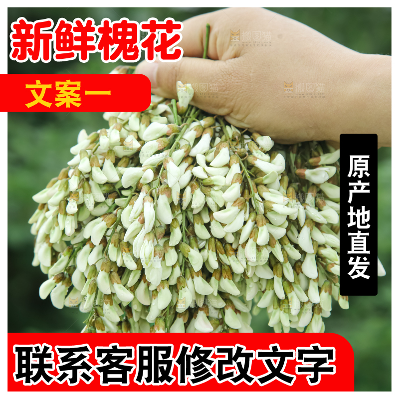 槐花
