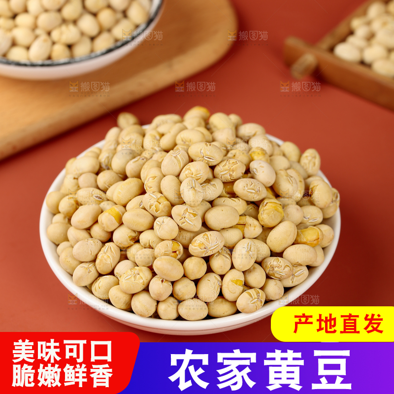 黄豆