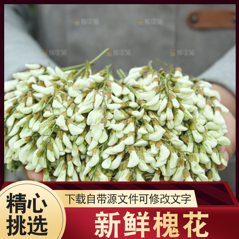槐花
