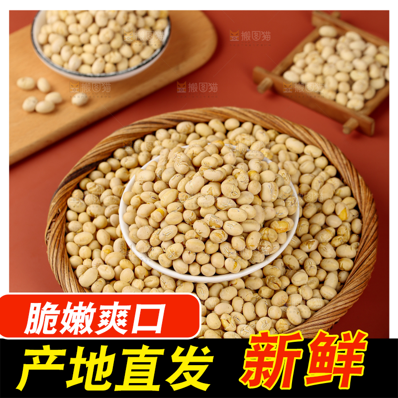 黄豆