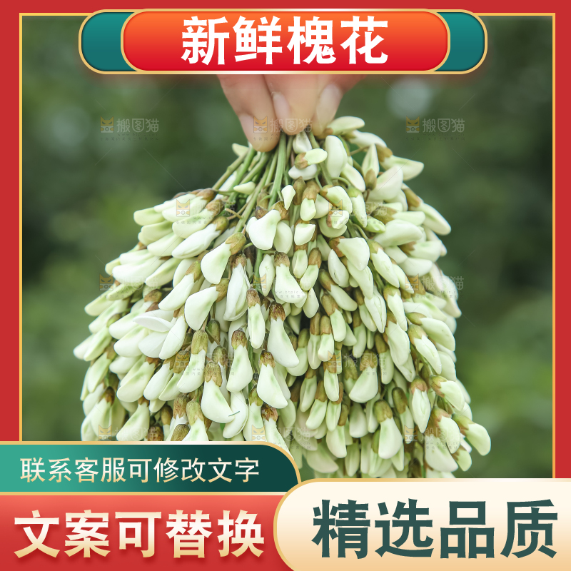 槐花