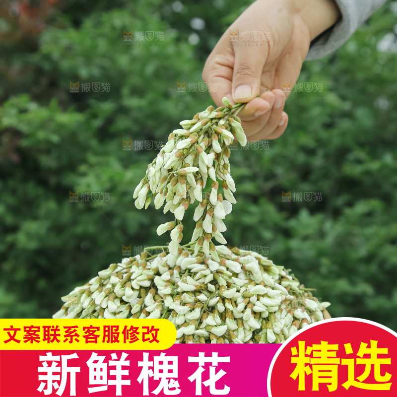 槐花