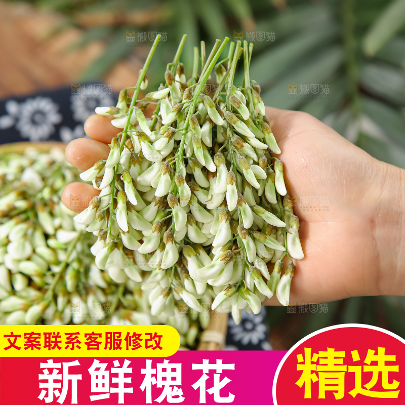槐花