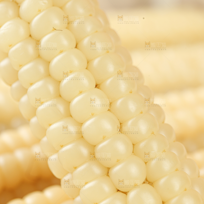 拇指玉米