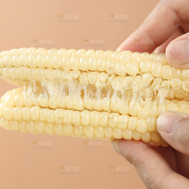 拇指玉米