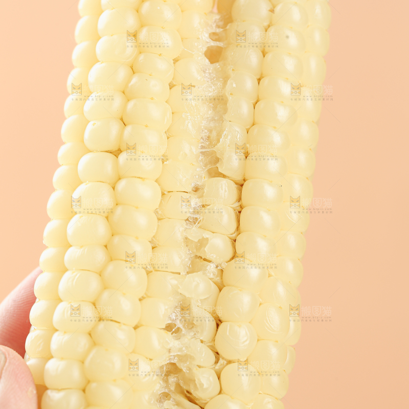 拇指玉米