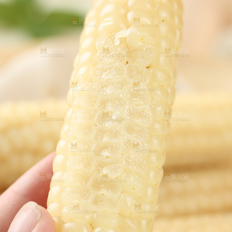 拇指玉米