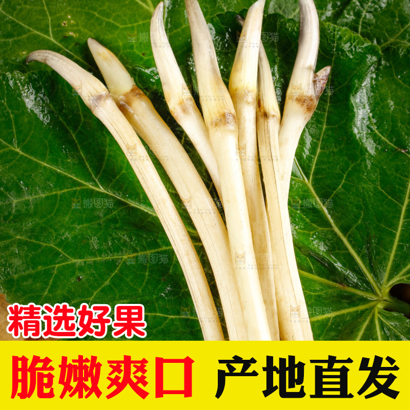 藕带