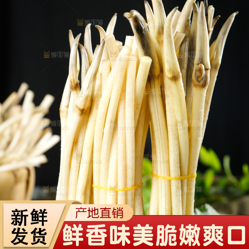 藕带