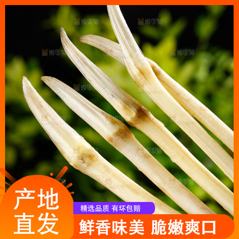 藕带
