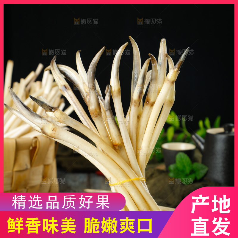 藕带
