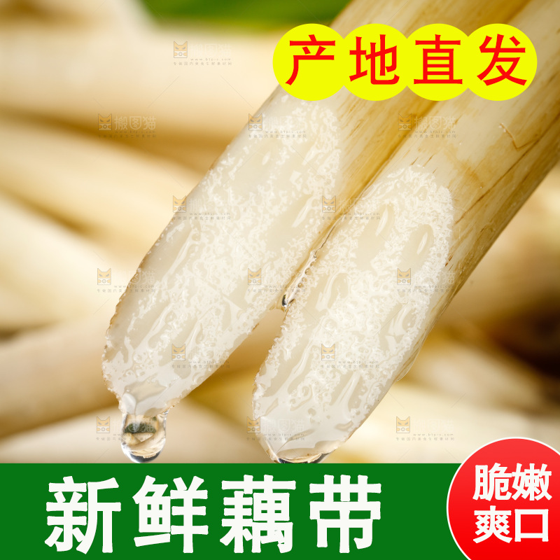 藕带