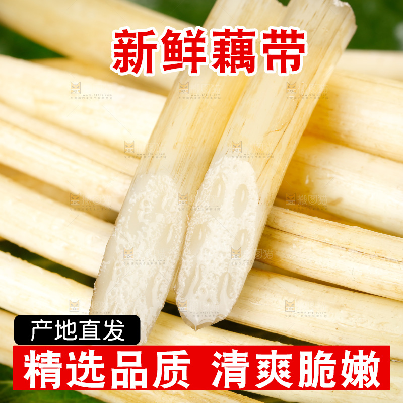 藕带
