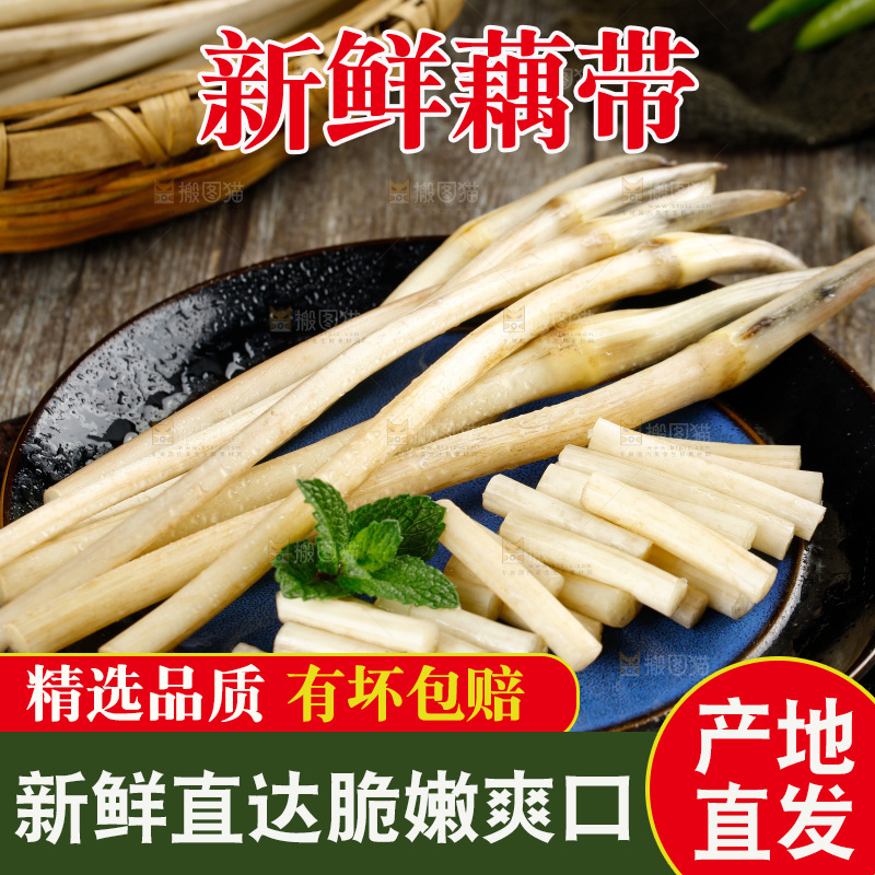 藕带